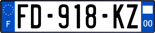 FD-918-KZ