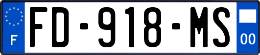 FD-918-MS