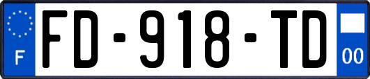 FD-918-TD