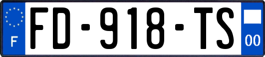 FD-918-TS