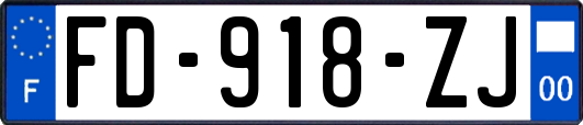 FD-918-ZJ