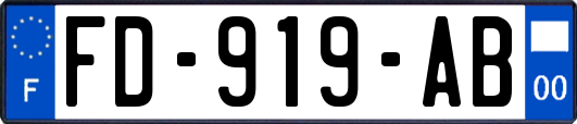 FD-919-AB