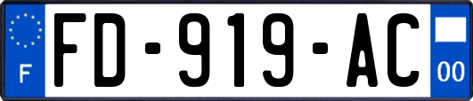 FD-919-AC