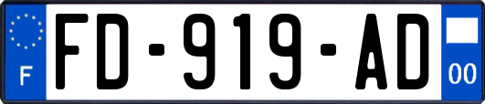 FD-919-AD