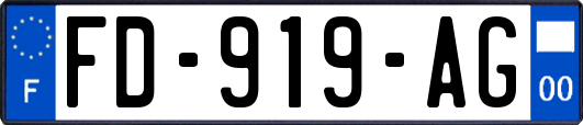 FD-919-AG
