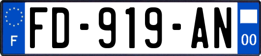 FD-919-AN