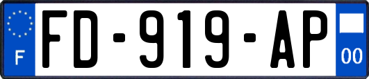 FD-919-AP