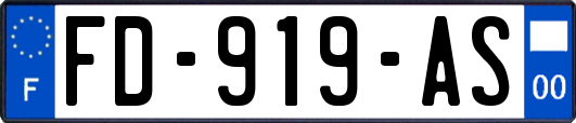 FD-919-AS