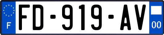 FD-919-AV