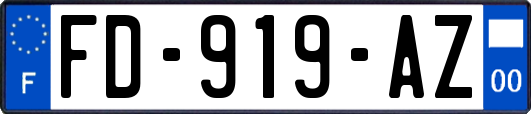 FD-919-AZ
