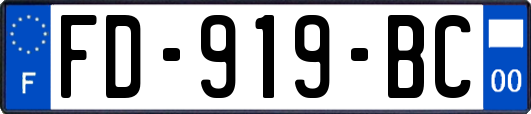 FD-919-BC