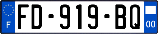 FD-919-BQ