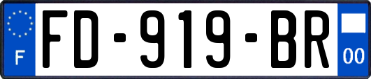 FD-919-BR