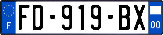 FD-919-BX