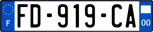 FD-919-CA