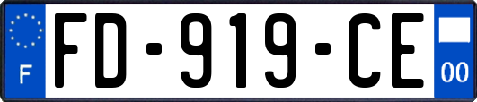 FD-919-CE