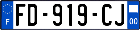 FD-919-CJ