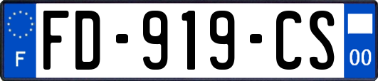 FD-919-CS
