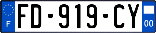FD-919-CY