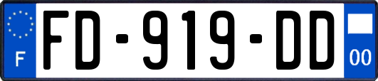 FD-919-DD