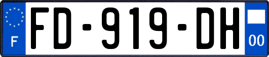 FD-919-DH