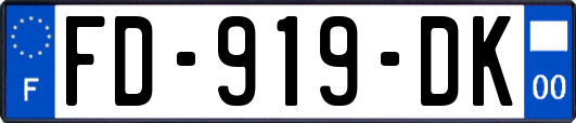 FD-919-DK