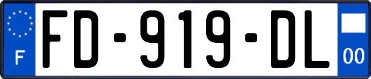 FD-919-DL
