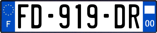 FD-919-DR
