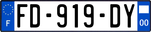 FD-919-DY