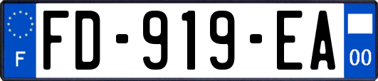 FD-919-EA
