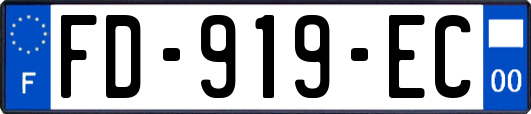FD-919-EC