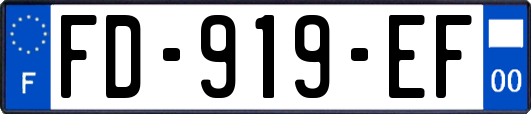 FD-919-EF