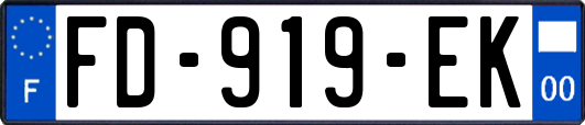 FD-919-EK