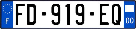 FD-919-EQ