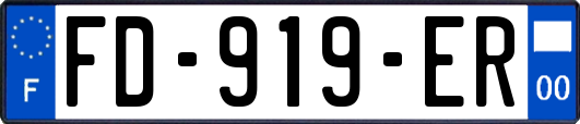 FD-919-ER