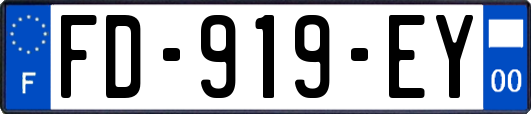 FD-919-EY