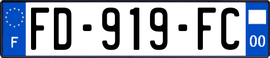 FD-919-FC