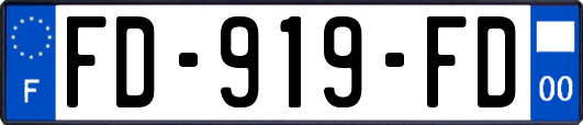 FD-919-FD