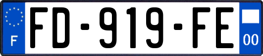 FD-919-FE