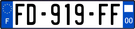 FD-919-FF