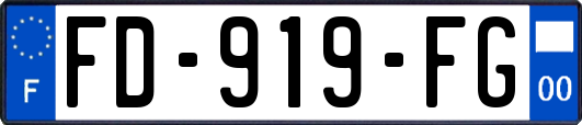 FD-919-FG