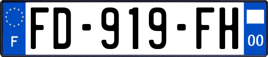 FD-919-FH