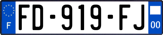 FD-919-FJ