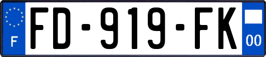 FD-919-FK