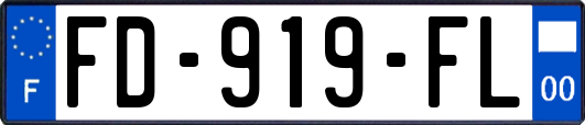 FD-919-FL