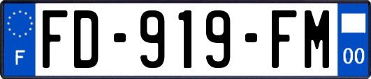 FD-919-FM