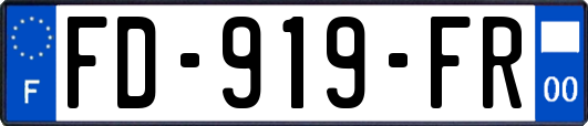 FD-919-FR