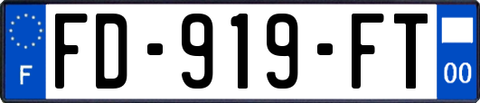FD-919-FT