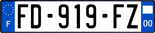 FD-919-FZ