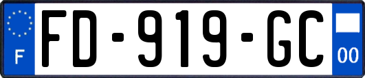 FD-919-GC
